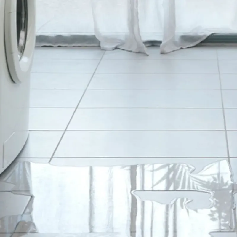 Appliance Leak Cleanup in Clyde, OH