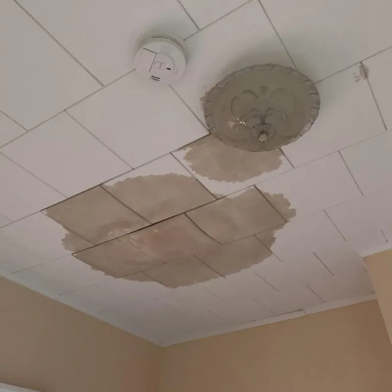 Ceiling Water Damage Repair in Clyde, OH