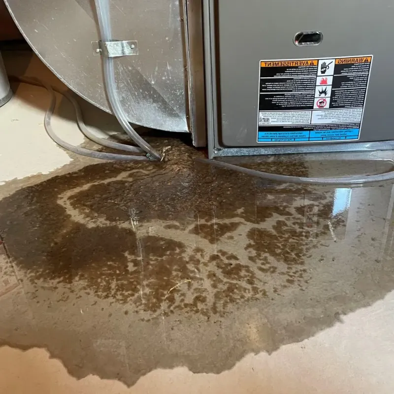 Pipe Burst and Leak Restoration in Clyde, OH